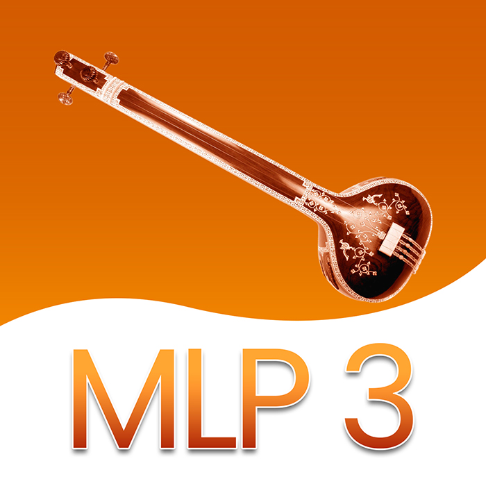 MLP3