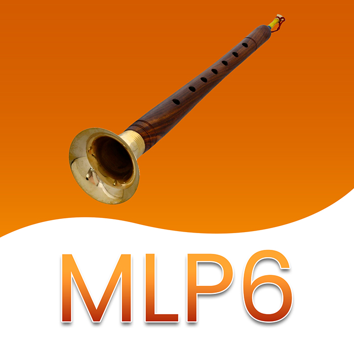 MLP6