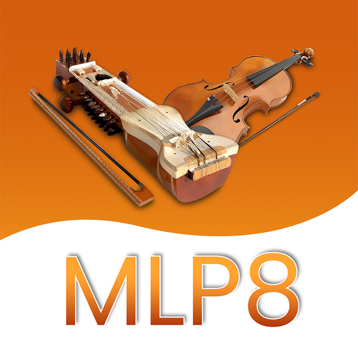 MLP8